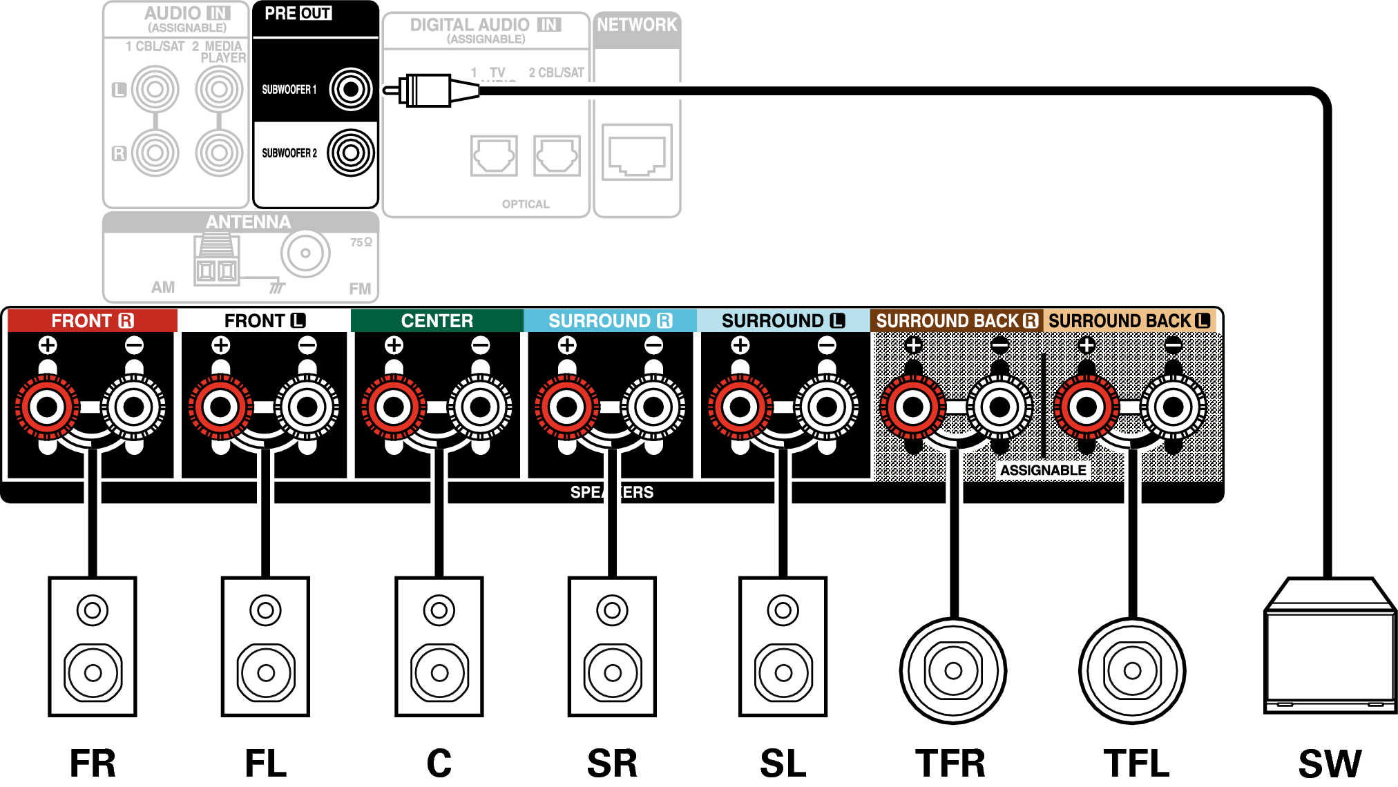 Conne SP 7.1 TF S77E2